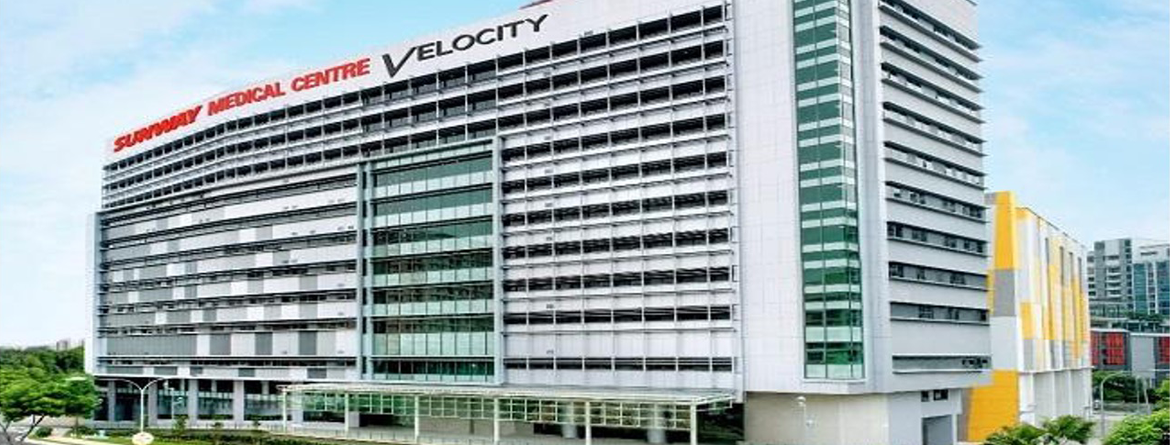 Building Type Banner